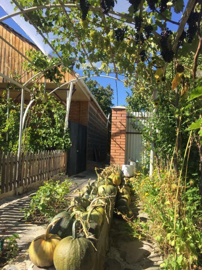 Apartmán Oasis Aspindza Exteriér fotografie